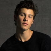 SHAWN MENDES 
