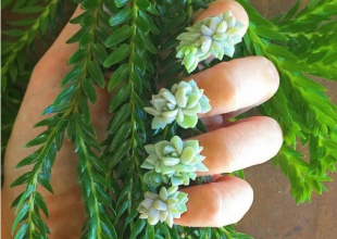 La última locura 'beauty' son las uñas con plantas