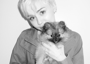 Miley Cyrus, premiada por su defensa de los animales