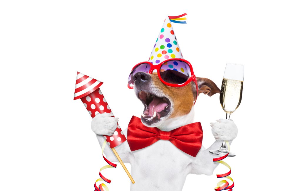 Felicitaciones
