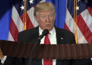 Trump tocando el acordeón y otros memes del Presidente