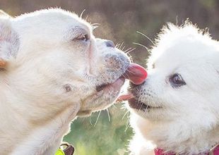 Sebastian Y Luna Protagonizan Una De Las Historias De Amor Mas Cuquis De Instagram Fotogaleria Actualidad Los40