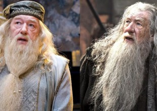 ¿Tú también confundes a Dumbledore con Gandalf?