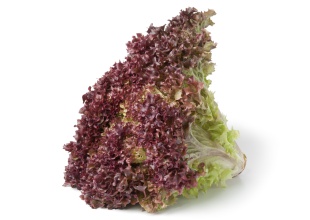 ¡Le compra a su novia una lechuga creyendo que eran flores!