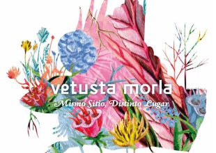 Vetusta Morla vuelve el 10 de noviembre con nuevo disco