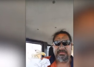 El vídeo viral de la gaviota rescatada no tuvo final feliz