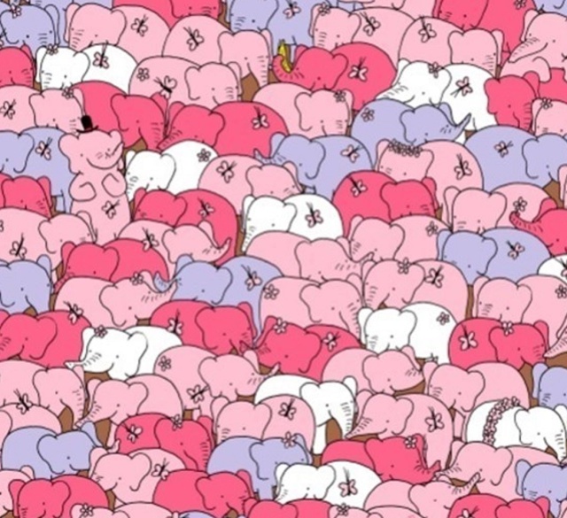 En este dibujo hay un corazón: ¿eres capaz de verlo entre tantos elefantes?