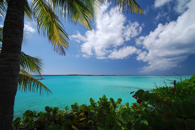 Se buscan candidatos para vivir en una isla del Caribe a cambio de trabajo