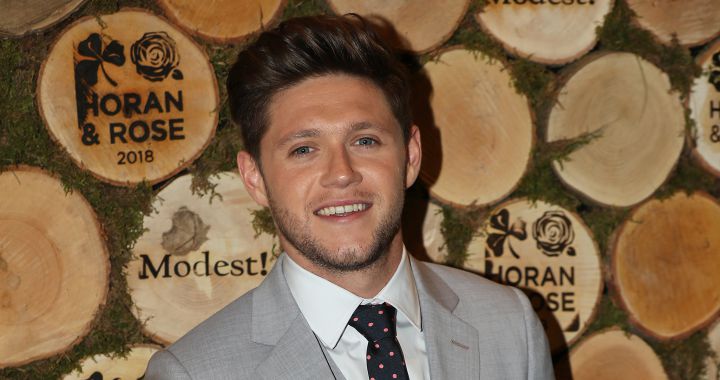 Niall Horan Pondra Musica A Small Foot Cine Y Television Los40