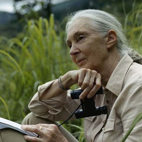 Jane Goodall da voz a la campaña por el Planeta de LOS40 frente a la extinción masiva de animales
