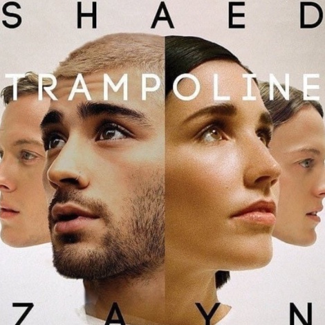 Lo nuevo de Zayn se llama Trampoline