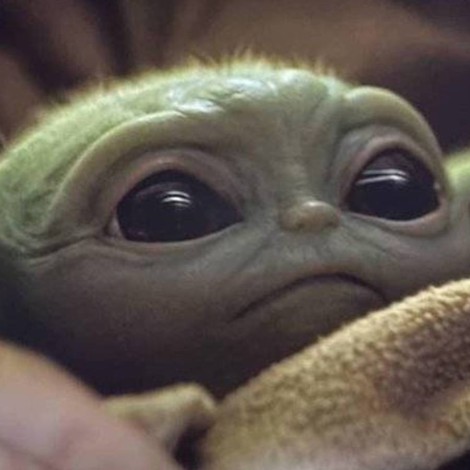 Bomboclaat, el bebé Yoda, entre los principales memes del 2019