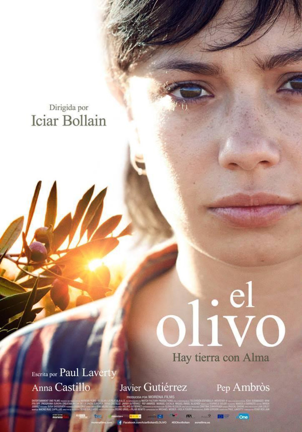 El olivo (2016), Icías Bollaín