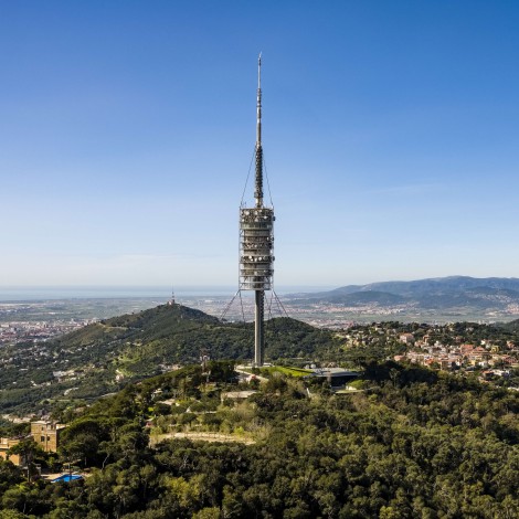 Barcelona serà la Ciutat Europea del Bosc l’any 2022