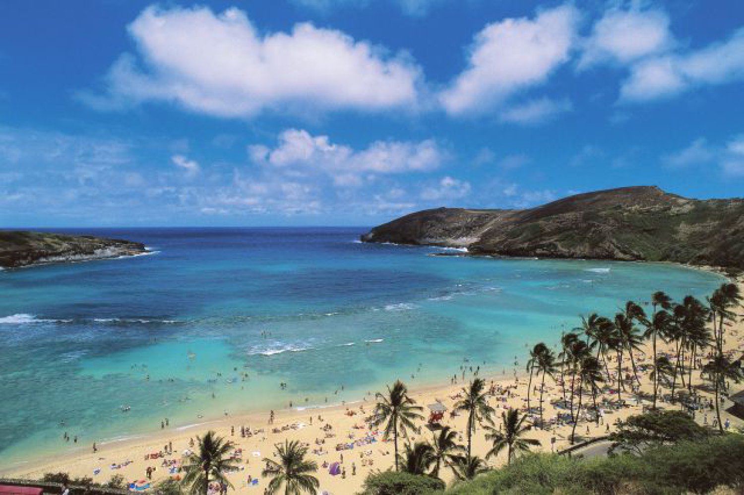 Fontanero Impotencia grande Viajar gratis a Hawái? Una oferta para trabajar desde esta paradisíaca isla  lo hace posible | Big bang | LOS40
