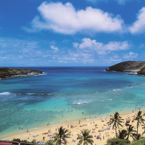 ¿Viajar gratis a Hawái? Una oferta para trabajar desde esta paradisíaca isla lo hace posible