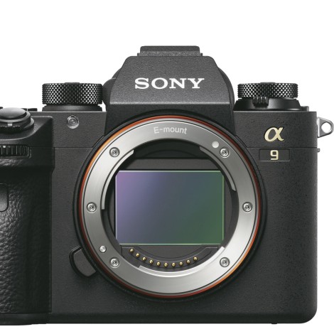 Sony presentará su mejor cámara este mes.