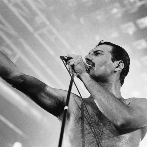 Freddie Mercury y su corta pasión por el boxeo: 