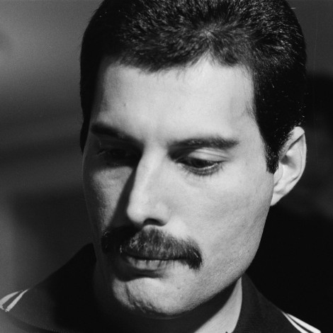 La singular historia de los 89 peces koi de Freddie Mercury: “Finalmente encontré lo que estaba buscando”