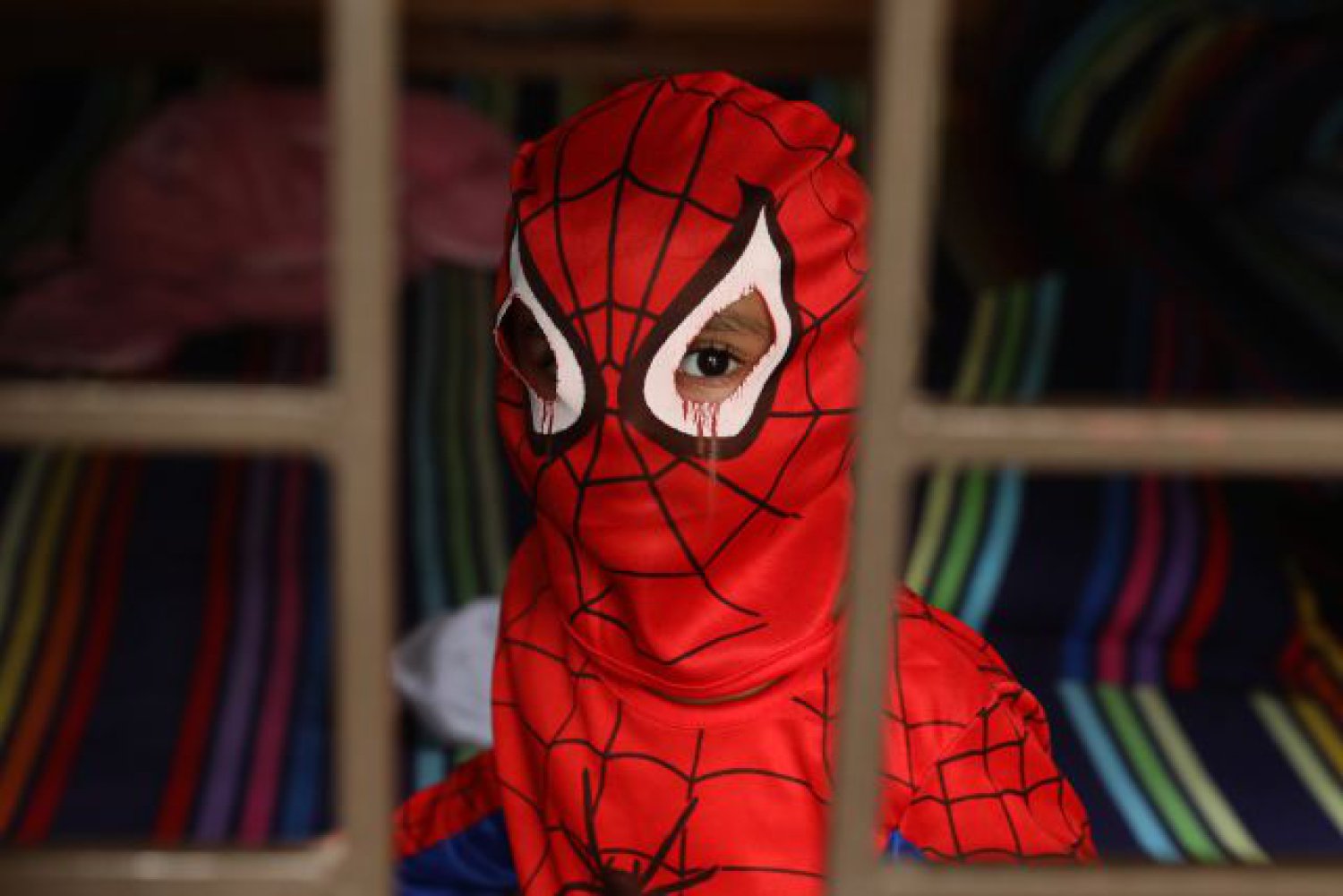 Introducir 64+ imagen si te pica una araña te conviertes en spiderman