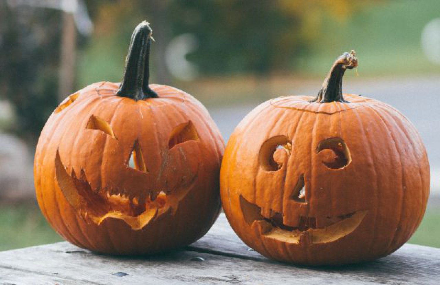 Novedades de Halloween que encontrarás en Mercadona, Lidl y Aldi | Big bang  | LOS40