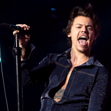 Harry Styles desvela el sexo del bebé de una fan en pleno concierto
