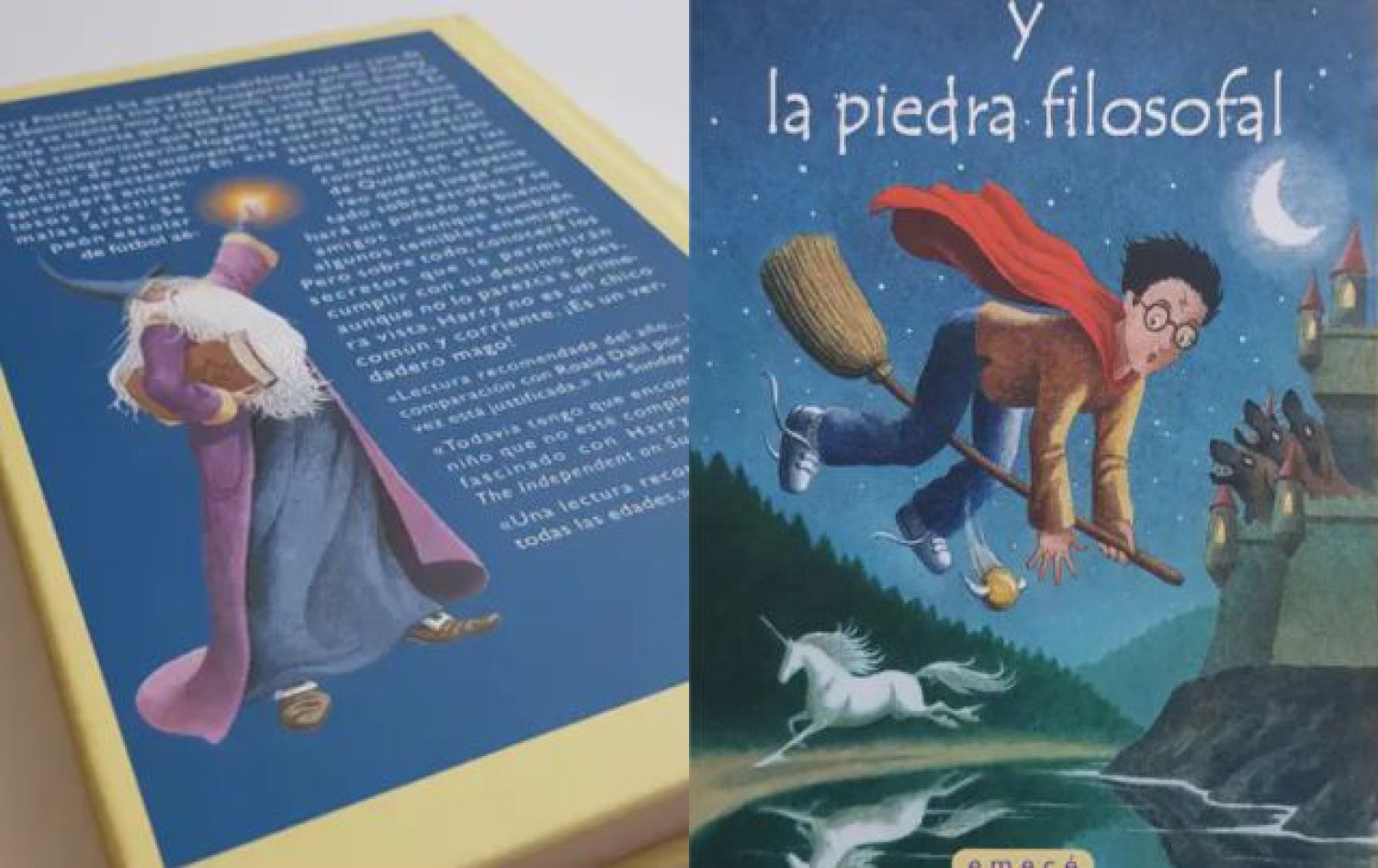 Extraordinario champán enviar Si tienes esta edición española de los libros de 'Harry Potter' podrías  ganar miles de euros | Big bang | LOS40