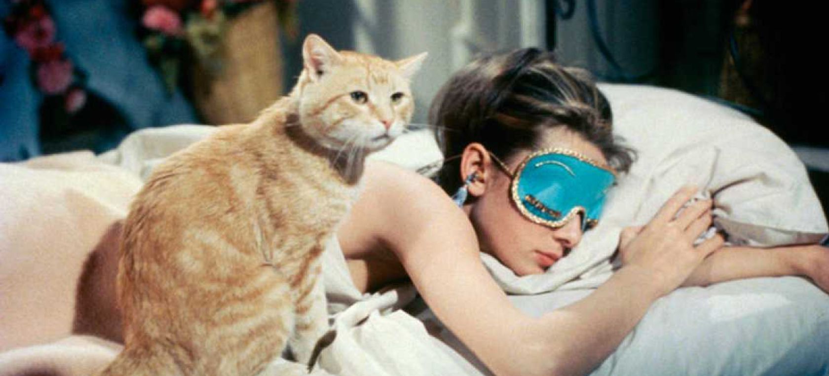 7 películas en las que el felino es el protagonista para celebrar el Día Internacional del Gato