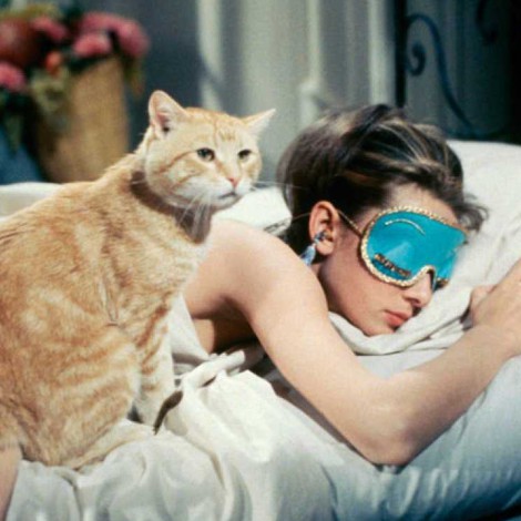 7 películas en las que el felino es el protagonista para celebrar el Día Internacional del Gato