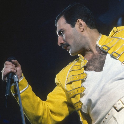 El amor de Freddie Mercury por los gatos: inseparables en su vida y canciones