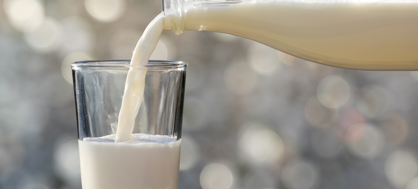 ¿Cuál es la mejor leche semidesnatada? La OCU lo tiene claro