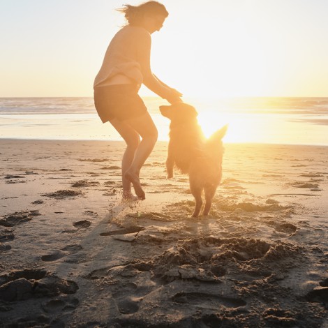 Estas son las playas para perros de España para disfrutar este verano 2022