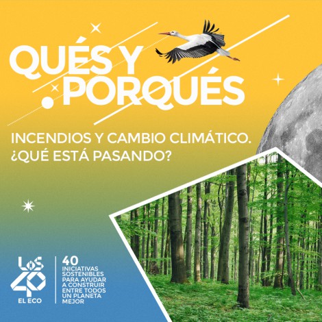¿Hay relación entre los incendios y el cambio climático?