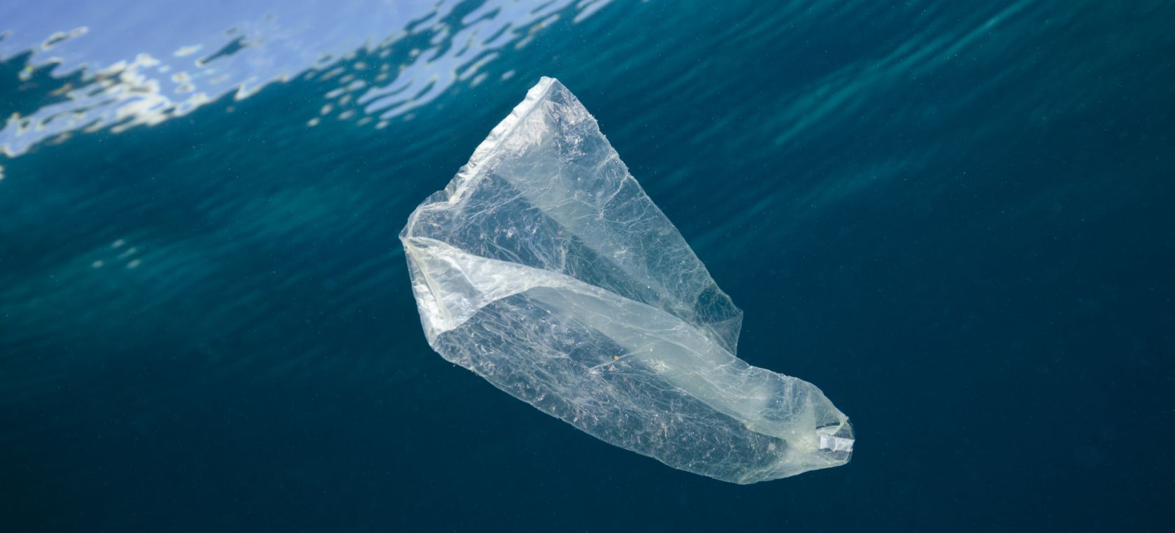 ¿Y si decimos adiós (definitivamente) a las bolsas de plástico?