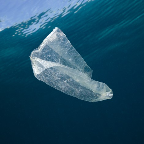 ¿Y si decimos adiós (definitivamente) a las bolsas de plástico?