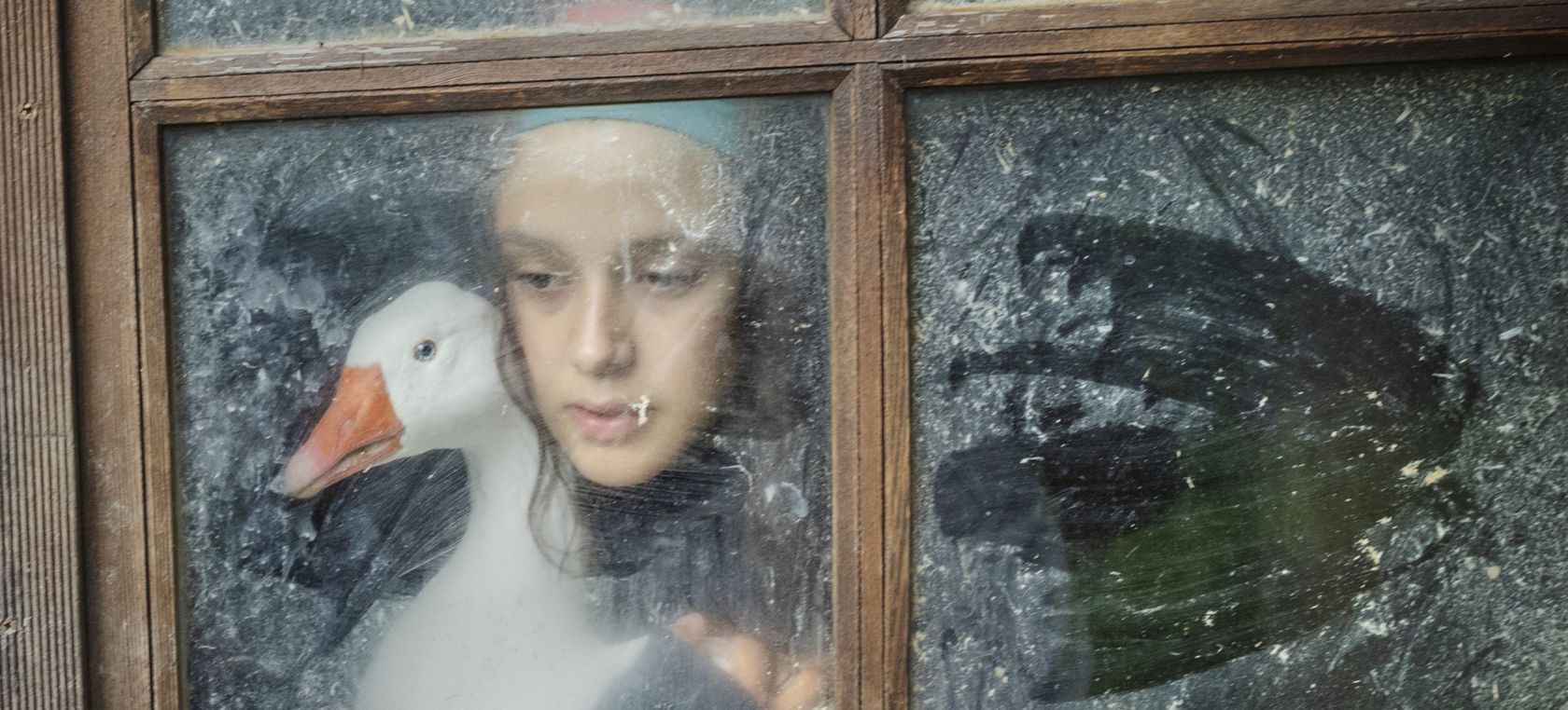 La fotógrafa Ana Palacios sobre nuestra relación con los animales: “Con mis fotos busco generar empatía”