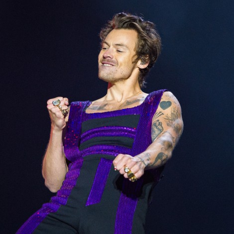 Harry Styles ayuda a un fan a pedir matrimonio durante su concierto: “¿Lleváis más de dos semanas?”