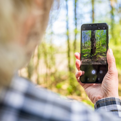 10 apps imprescindibles para los amantes de la naturaleza 