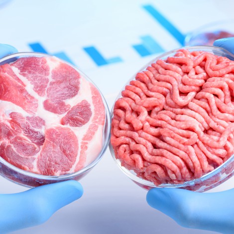 ¿Comeremos carne de laboratorio en el futuro?