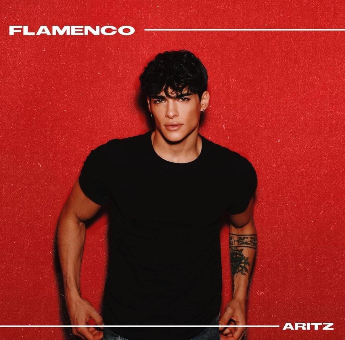 Flamenco de Artiz