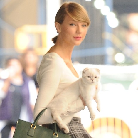 El mundo cae en crisis, pero la gata de Taylor Swift aumenta su fortuna que ya está valorada en 92 millones