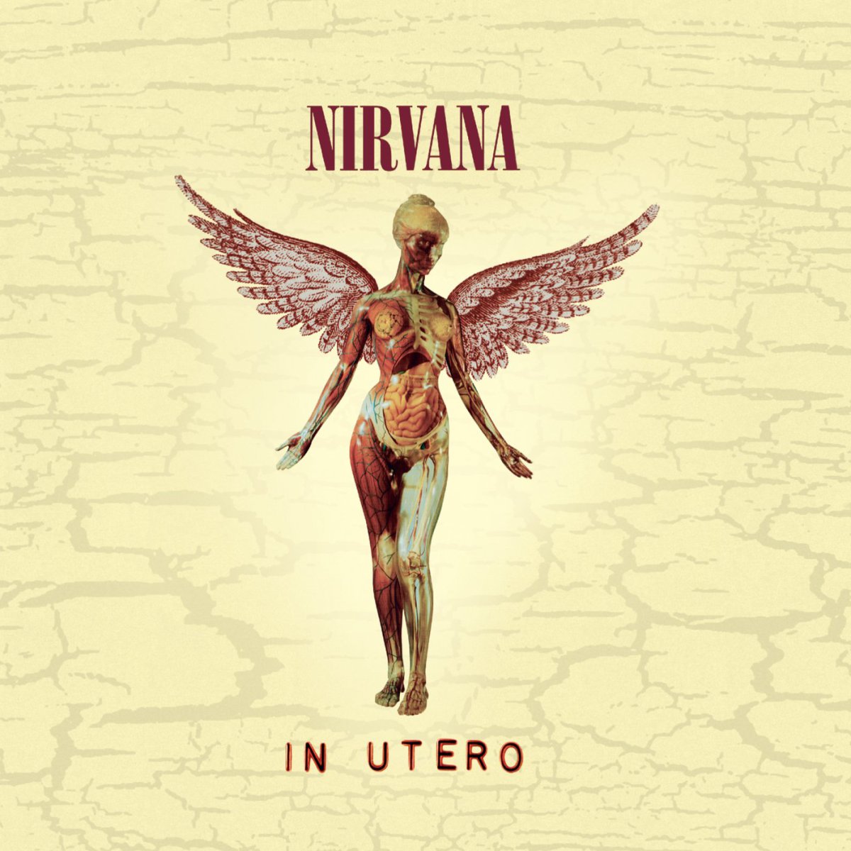 'In Utero' - Nirvana 