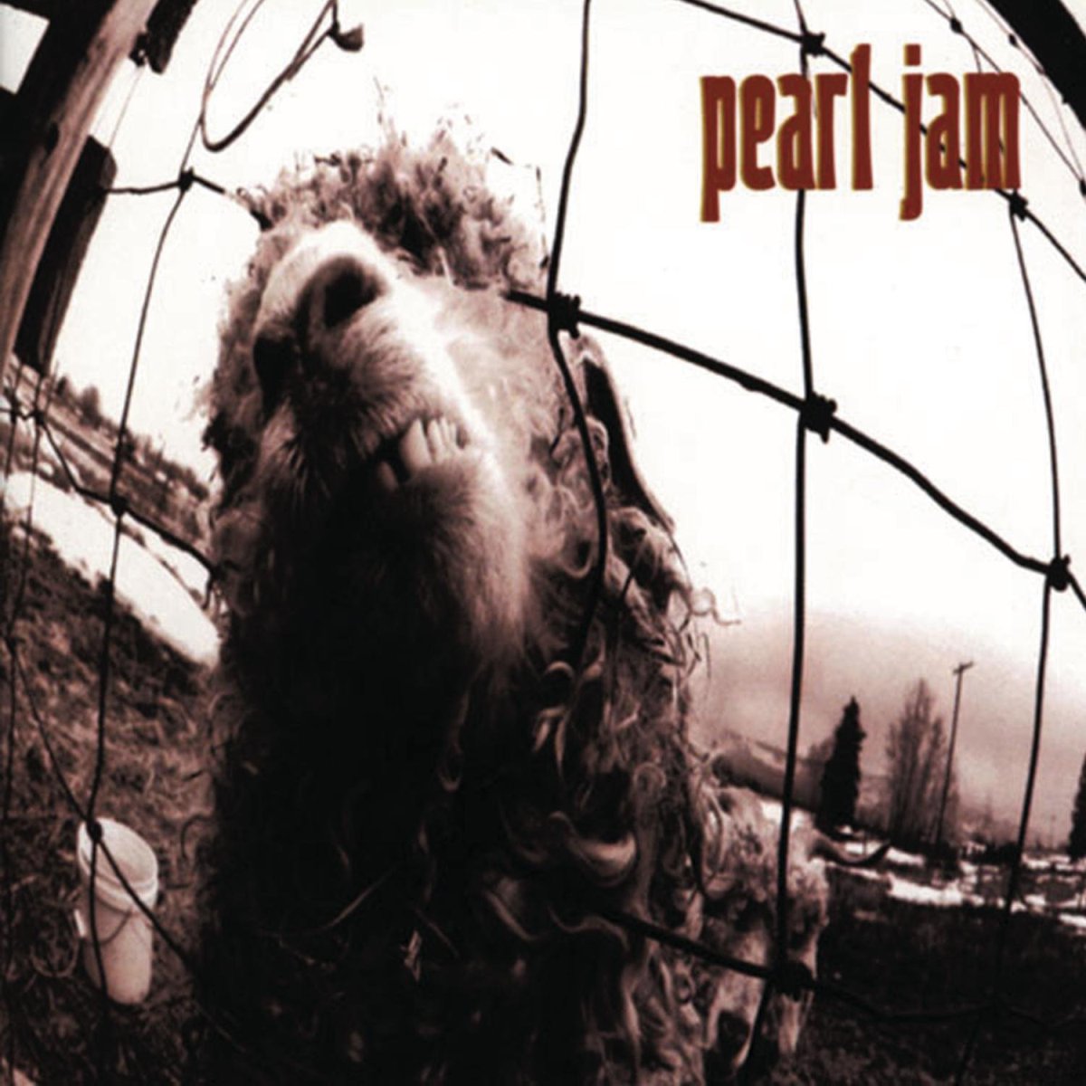 'VS' – Pearl Jam 
