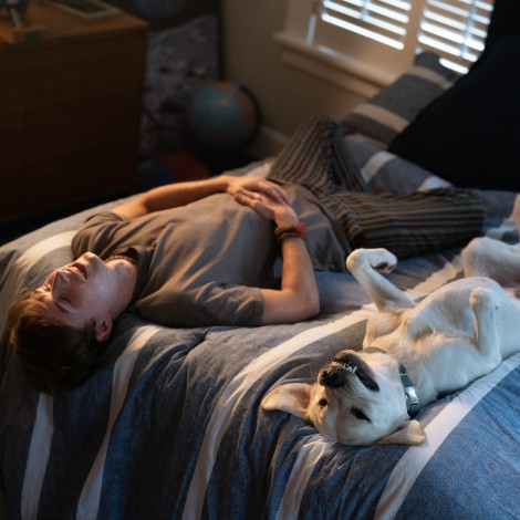 La historia real sobre un perro y su dueño que inspiró 'Perro Perdido', la película que arrasa en Netflix