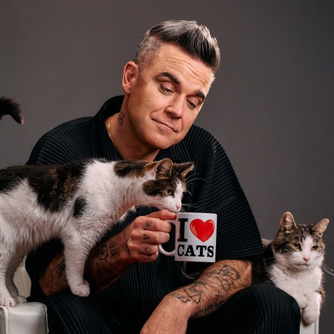 Robbie Williams estrena ‘It's Great To Be A Cat’, un nuevo tema dedicado a sus propios gatos