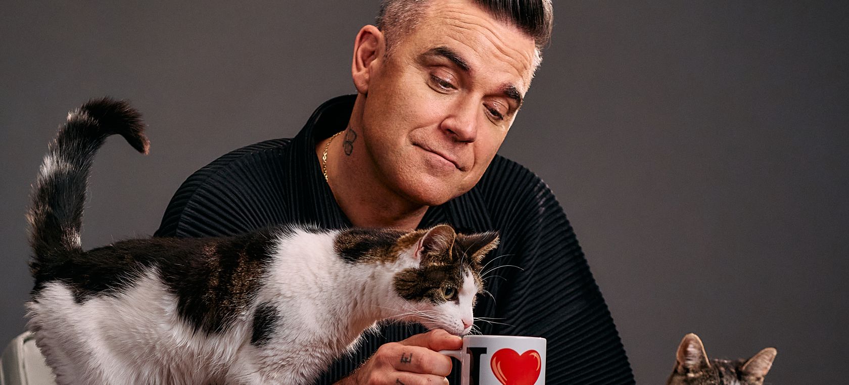 Robbie Williams estrena ‘It's Great To Be A Cat’, un nuevo tema dedicado a sus propios gatos