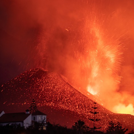 Resiliencia natural: así se recupera la biodiversidad en La Palma