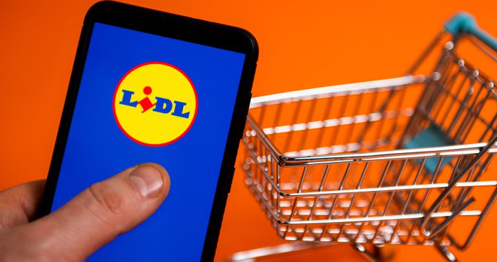 “Love is in the (Supermarket) Aisles: Lidl and Aldi offer affordable Valentine’s Day Flowers”