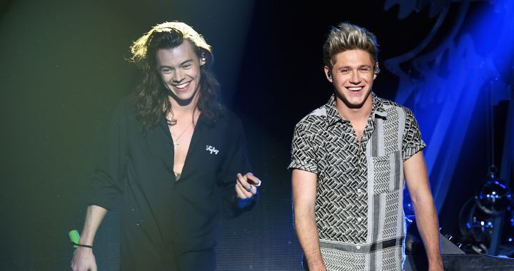 Niall Horan and Harry Styles?  The collaboration rumor that a tiktoker put on the table