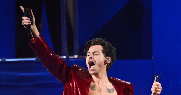 Harry Styles revolutionizes all his fans with the shirt of one of his last selfies